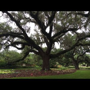 Meet your Posher, Virginia gray